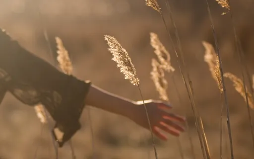 Body Scan Meditation