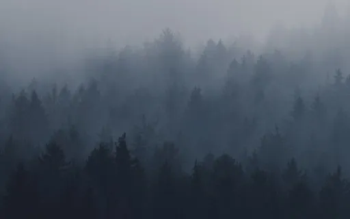 Body Scan Meditation 