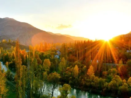 Body Scan Meditation 