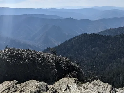 Body Scan Meditation