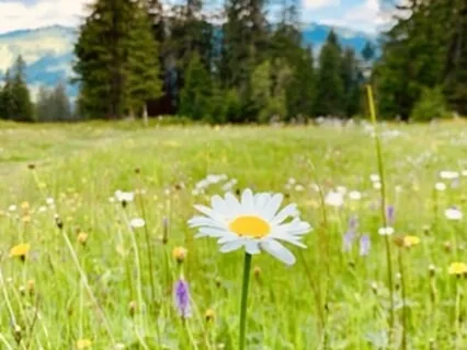 30-Minute Body Scan Practice