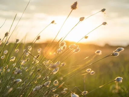 Body Scan To Build Gentle Awareness