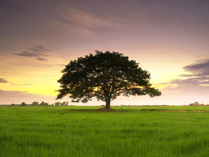 Bring Gentle Curiosity To The Body