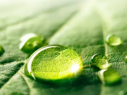 Body Scan Practice For Leaving Thoughts In The Background