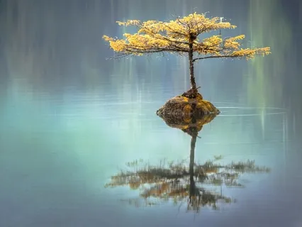 Body Scan For Mind-Body Relaxation