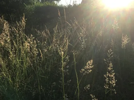 Body Scan To Shift From Doing To Being