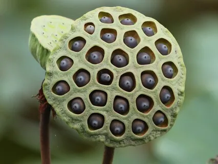 Body Scan Meditation For Calming And Awareness