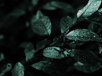 Body Scan Meditation For Sleep