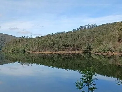 Body Scan Meditation For Stress And Anxiety Relief