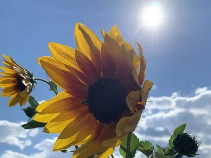 Body Scan Meditation For Stress Relief And Grounding