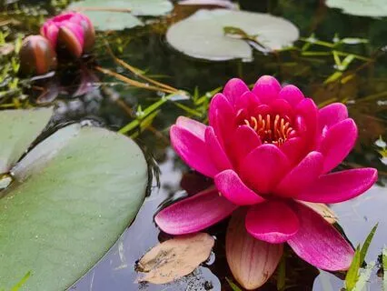 Body Scan Meditation In Savasana