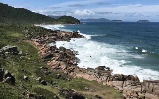 Body Scan Meditation (MBSR) For Beginners