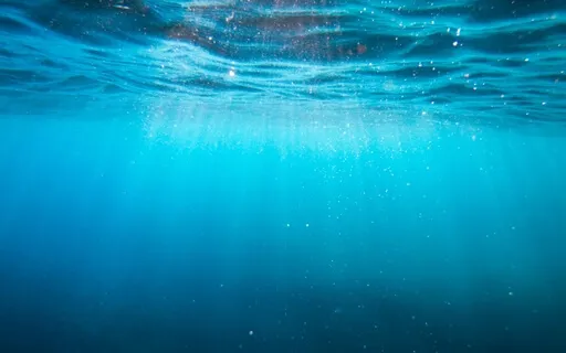 Body Scan Meditation ME/CFS/Fibromyalgia (MBSR)