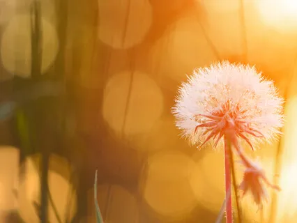 Body scan meditation / medytacja skanowania ciała