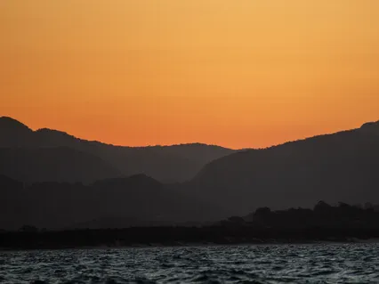 Body Scan Meditation/ Savasana 