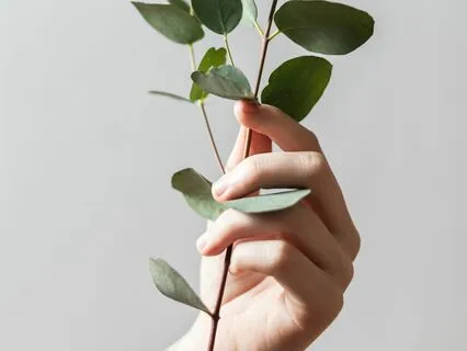 Body Scan Meditation To Help You Reconnect To Yourself