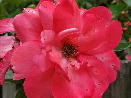 Invite Yourself To Relax