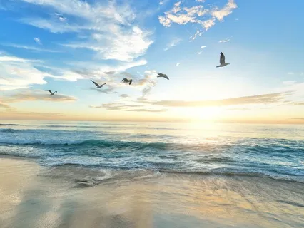 Body Scan Meditation