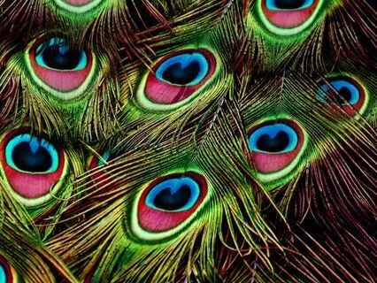 Body Scan Meditation