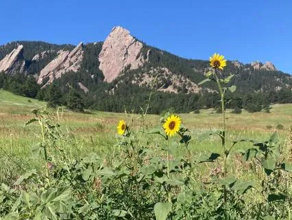 Body Scan Meditation