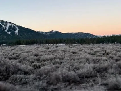 Body Scan Meditation