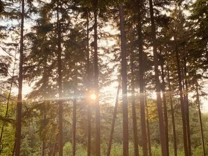 Body Scan Meditation