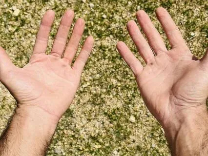 Body Scan Of The Hands For Pausing And Noticing