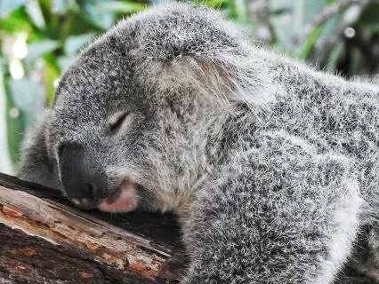 Body Scan Prepare Mind And Body For Sleep