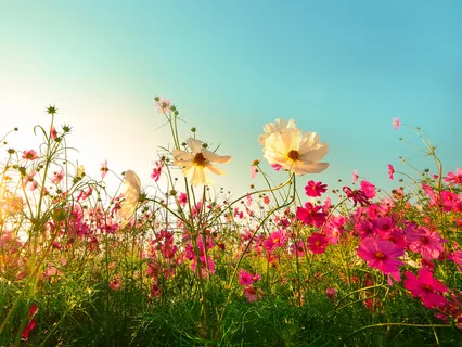 Present Moment Body Scan For Stress Relief