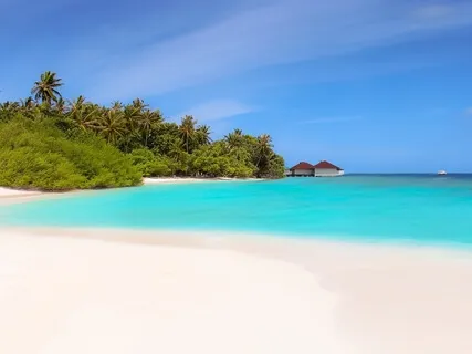 Body Scan (Relax And Rejuvenate)