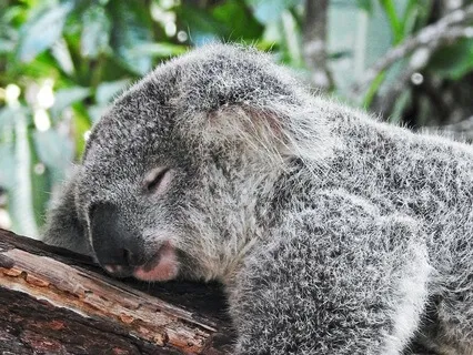 Body Scan Relaxation For Sleep And Rest