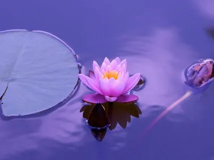 Body Scan Relaxation