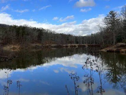 Body Scan, Relaxed Breath, Soothing Visualization Scenes
