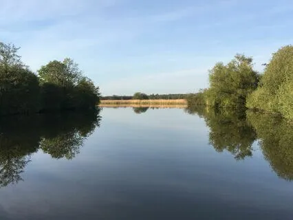 Body Scan - Relaxing The Body