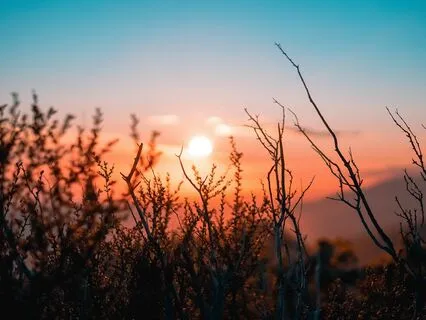 Body Scan: Release The Worries Of The Day, Relax And Let Go