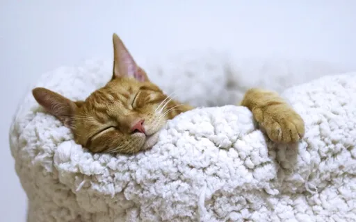 Body Scan Rotation Of Consciousness For Relaxation