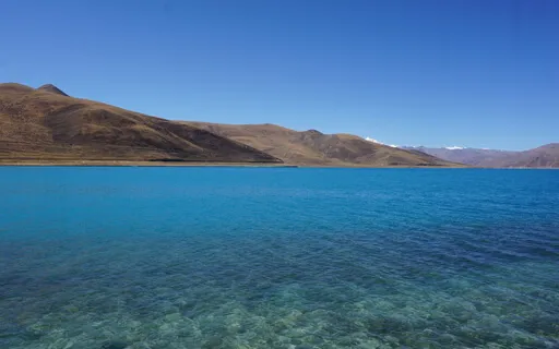 Body Scan (Short Version)