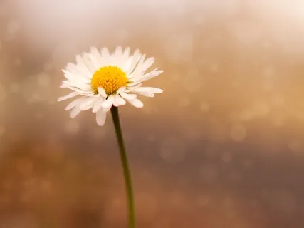 Body Scan - Soothing, Relaxing And Releasing