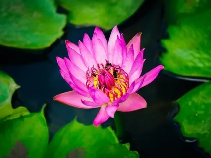 Body Scan Meditation For Relieving Anxiety And Stress