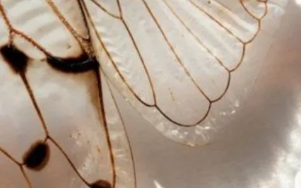 Body Scan To Ease Into Sleep