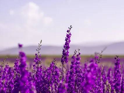 Body Scan To Relax Before Bed