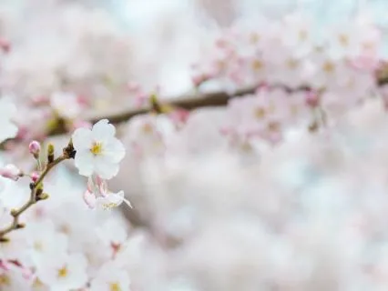 Body Scan For Deep Relaxation & Stress Relief