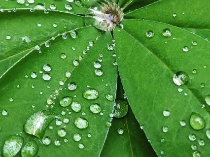 Body Scan With Beginner's Mind