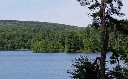 Body Scan With Expansion & Discovery