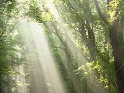 Body Scan With Healing Light