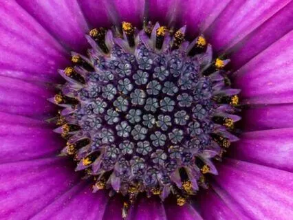 Body Scan With Your Hands