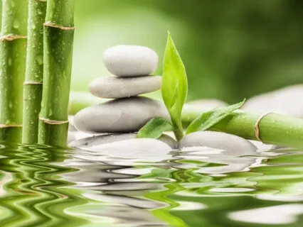 Body Scan - Zen Style 1 