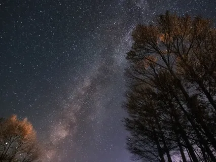 Body Scanning Yoga Nidra