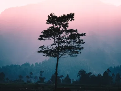 Wisdom From Your Negative Experiences