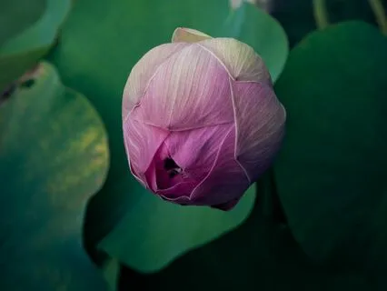 Body Talk Session: Your Face Is Your Temple